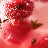 Variant Raspberry Hibiscus