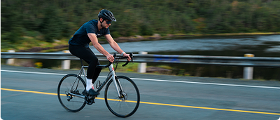Find Your Total Daily Energy  Expenditure